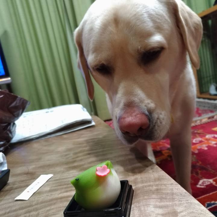 651759ba a97c 40b9 a2d4 11f8a3cf42f3 1580650833401