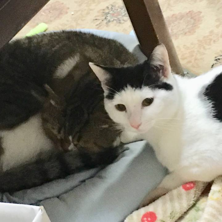 6517864e 59c0 49b4 91d0 7c39bd0c09f6 1541001365079