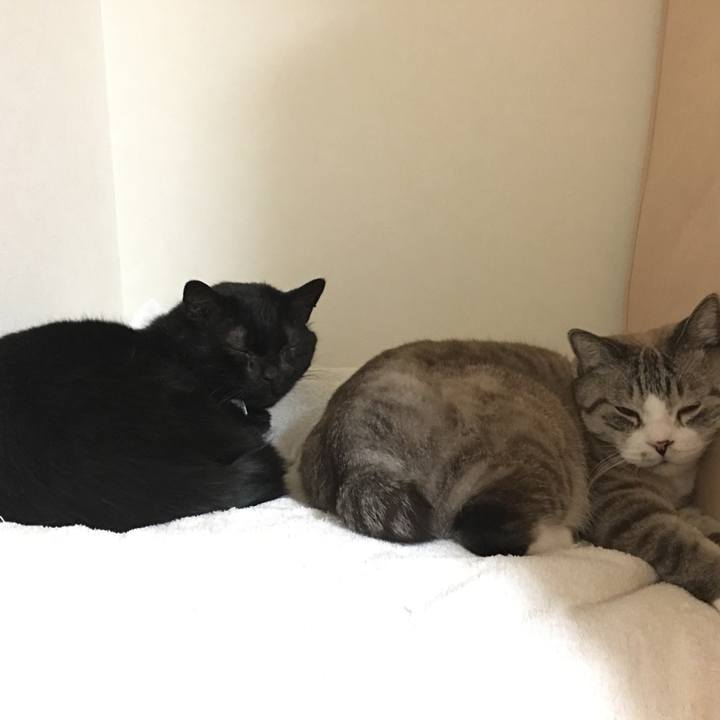 65179bad 559b 45a6 ae3e a3cd9420fd8d 1515236480373