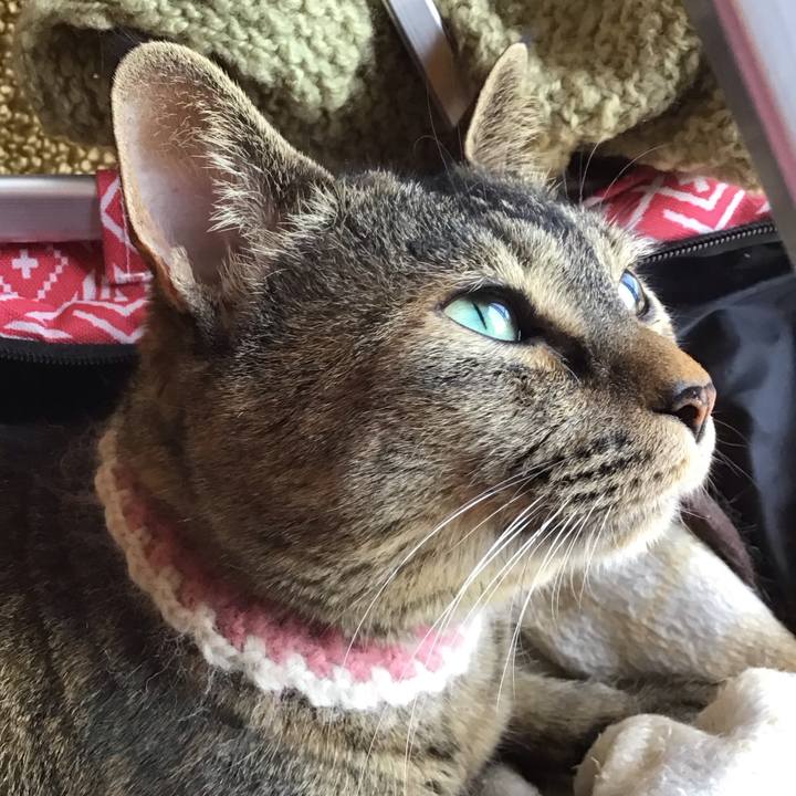 6517a41c 4228 4675 bfae 11a7f23cea51 1714984768262