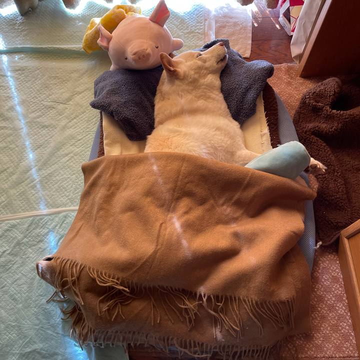 6517dadd b0b2 4e2e a369 a98db24058e6 1635561438926