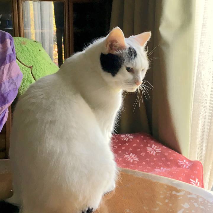 6517e466 4cc6 472c a70b 980b50673249 1568691259718