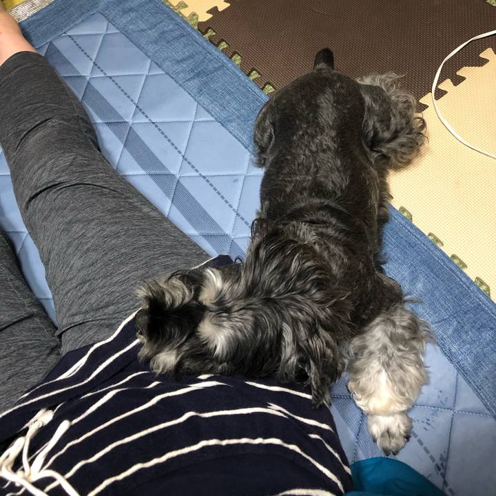 651815bb f33f 4809 80f7 680575cc6162 1663150906056