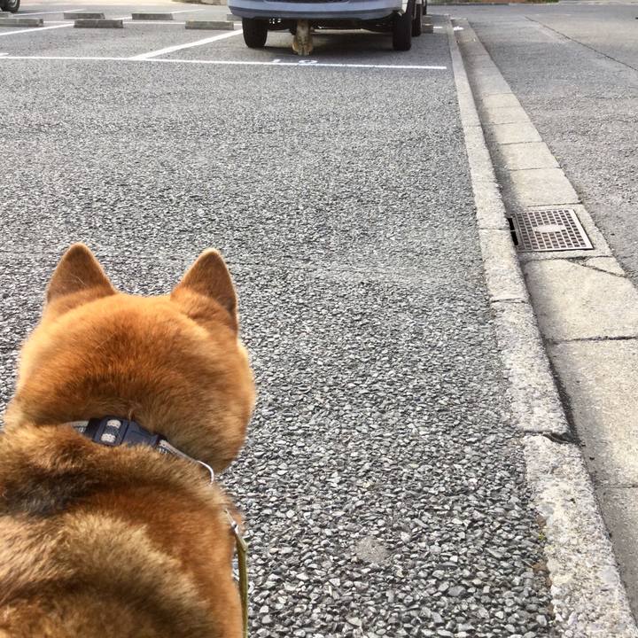 65181daa 49d6 42ad b71a d6d81d8f4a98 1620718779643