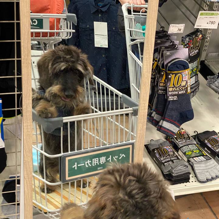 651820af 0b6f 4cd7 80e6 dc2cab77dcab 1626262320029