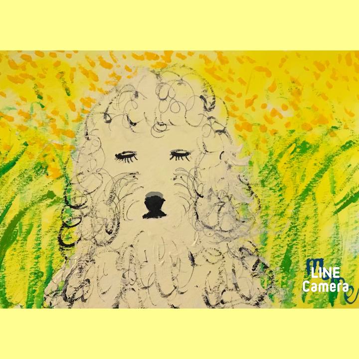 65182171 bbc4 49b4 a204 5a52741a58a4 1614071192787