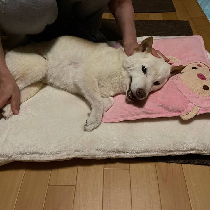 65184ad2 04d4 40ec b2b8 725db2453a75 1663789290991