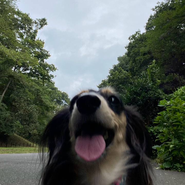 65186038 6c0e 4ccc 9303 65e4803f8602 1756079001711