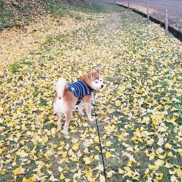 6518afcc 13ad 4a98 bf2e 3ff3a9fd55c5 1637306698381