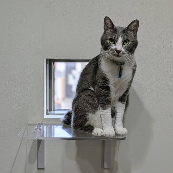 6518d33b b80d 443f 8d8c 712a32c86f0c 1758529095108