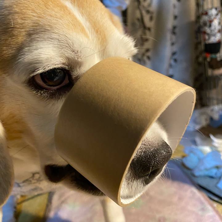 65191293 1c56 432c 8e7a 4044e363356b 1590589995260