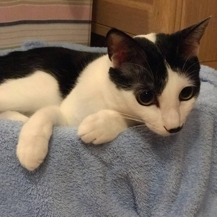 65197465 1c9e 4ecc b796 aabe43c4acd9 1561336215850