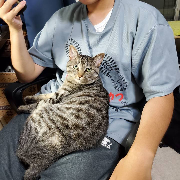 65197b2c ad3f 417f 9791 3c3c54f726fc 1721369638845