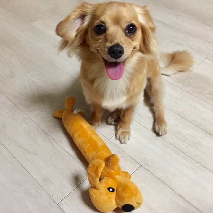 65198554 3088 44f2 86fe b51f487dbabf 1570276607165