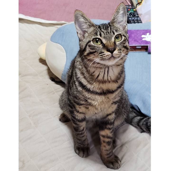 6519a348 e7fc 4348 b331 272e80dcb9a6 1543285476703