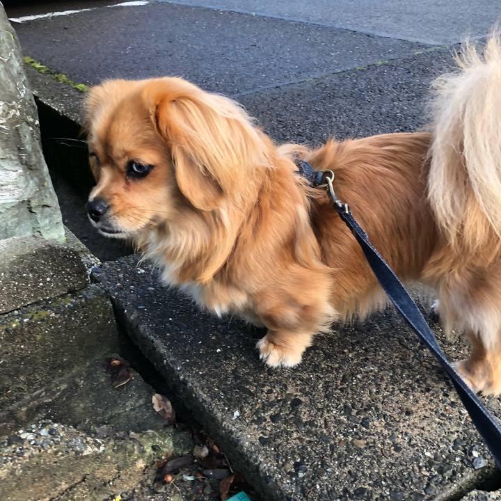 6519ac20 ab0b 4ff4 a626 a66b8771e09e 1523483013132