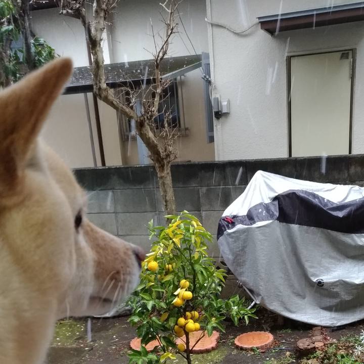 6519b0dd 14d5 4ac1 8068 54d1878857eb 1611809277033