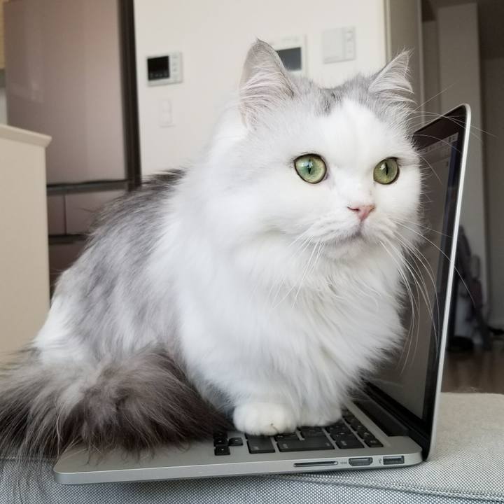 6519f1e6 6220 4a50 86ca 843d6e855b37 1515175094485