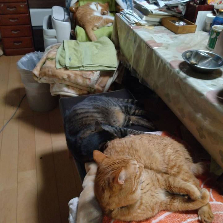 651a17c0 6dfd 4c6e 85c3 41243a9138d3 1736328799737