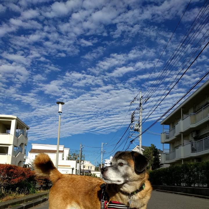 651a4548 f7be 4c16 8dff 391729252ab7 1541029401271