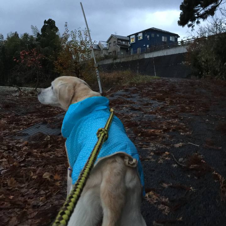 651a89d4 427b 4fbd 8f8f 75cd1474f863 1544824832394