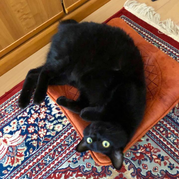 651a9440 a492 4603 b8da 187d129c219c 1542521017107