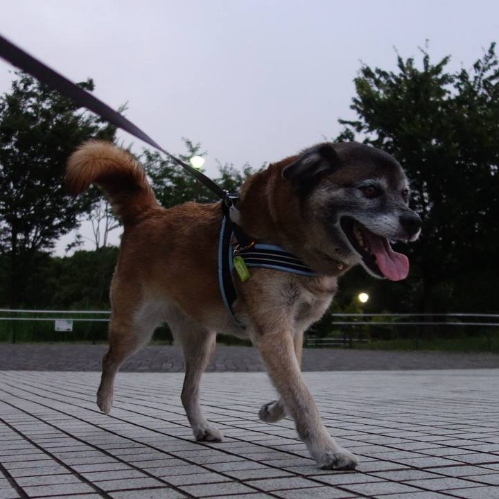 651ab5f0 cd96 46d2 80d3 5559151af3c2 1532698014978