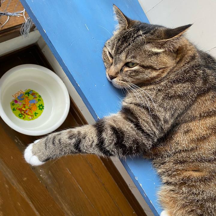 651ad2ea d8fd 44ef 97c4 bc1a74d4bae4 1626242593596