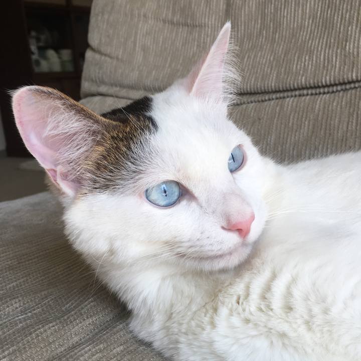 651ae189 17c9 47c8 8ca8 589bd099f478 1522734392307