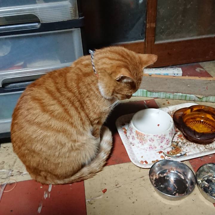 651ae9e5 06e8 445b bcb3 97af71d0a8e7 1570651274770