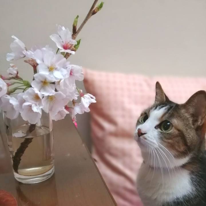 651b0184 f78c 4b20 a724 0de356cbbfd7 1617147676341