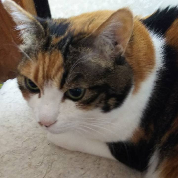 651b2b36 8000 4f10 bc31 31e27c4a59bb 1550008036752