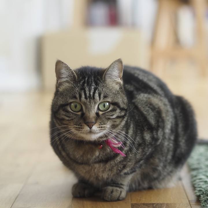 651b4d56 7b07 4395 8c70 48f70bd1d74e 1620017303232