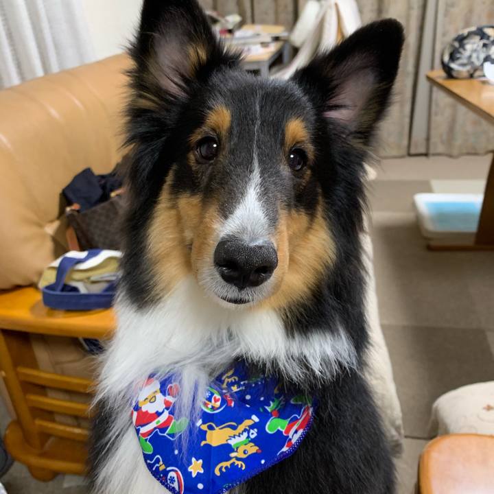 651b56f9 e0ca 477e bbd0 84636abfe647 1545691738858