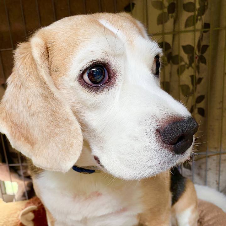 651b74b5 fe3b 4ea3 b638 5969e88675da 1595130507676