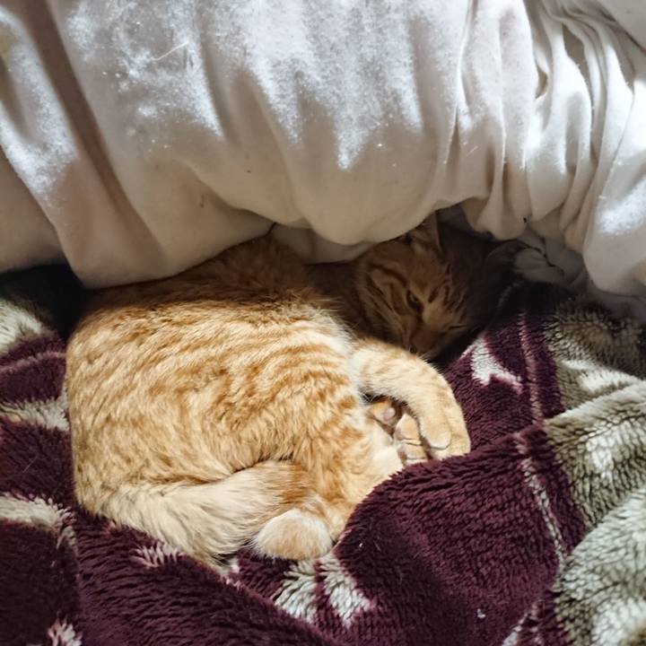 651ba086 4b05 4ad2 89f9 afd727be7ee0 1645619097892