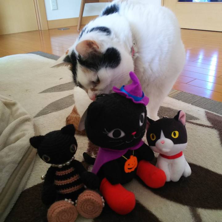 651bafc6 12fa 4176 959d 1d8aab4292c5 1572475284662