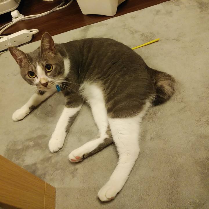 651bd9c8 ecd4 4837 9a5d 2f33d8a5f8b4 1595773106091