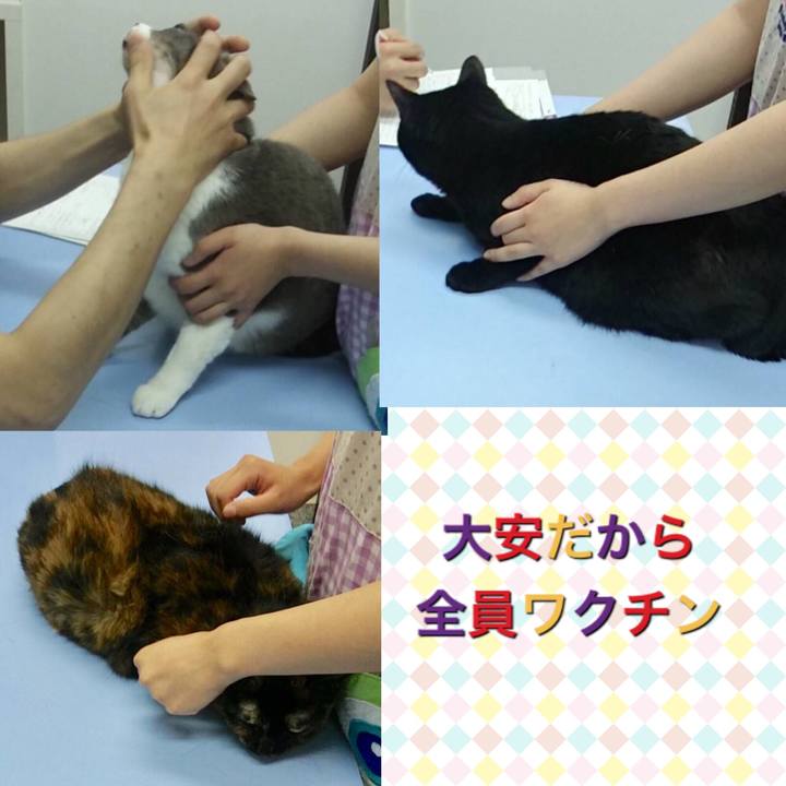 651be846 a775 4f3d b606 b7f1443d0050 1621903605659