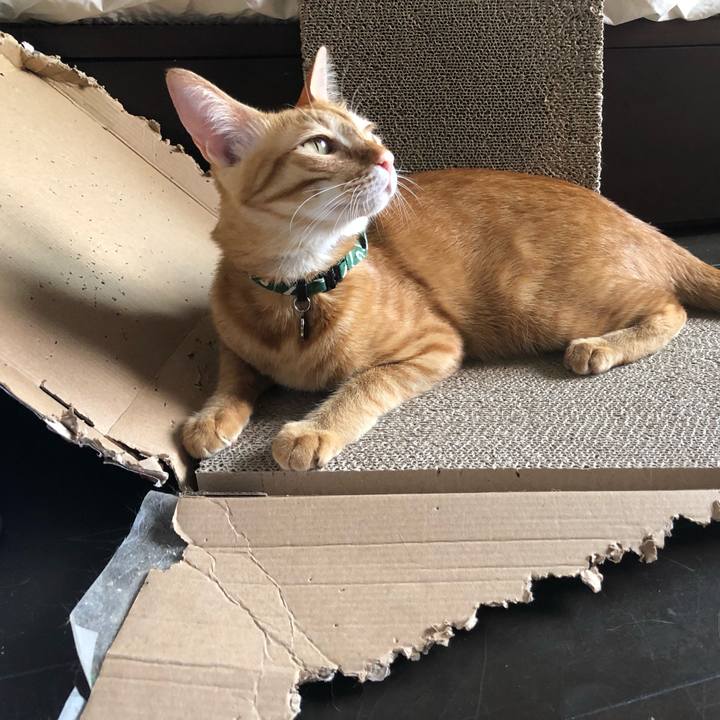 651be9b1 6c12 42ff b1f3 c61d26d58fb9 1630833957387