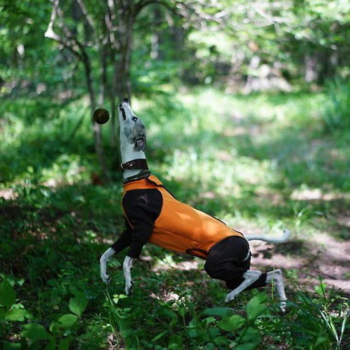 651c1d13 045b 4143 a4a4 2b44e0e6c0c7 1534763580377