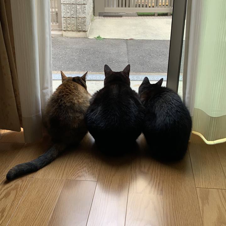 651c2271 30c8 45e8 b8a7 89f5f8354c19 1607217840980