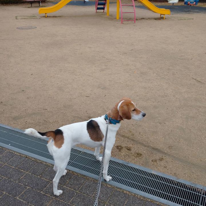 651c2fb4 daeb 4224 bc90 79bc1b4498a3 1610432015062