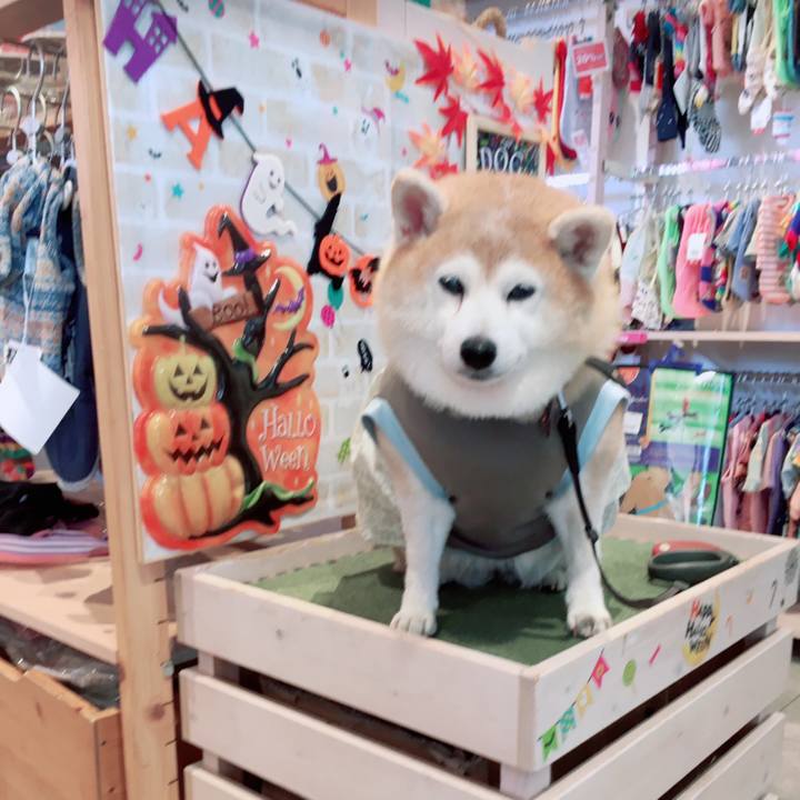 651c35e2 2bd0 4ebd 8ca3 d16c07f8087b 1601535358937