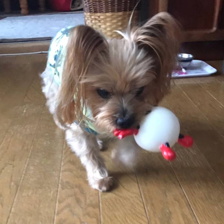 651c42c6 3855 46b0 be05 5ddf324c5e58 1582018030899