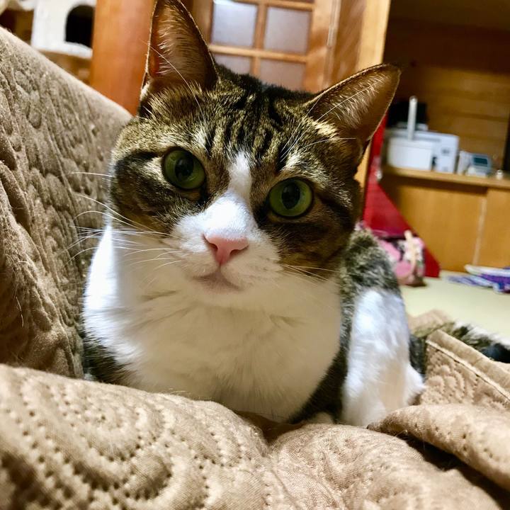 651c42e9 478a 49d1 843e 4fed73e73e16 1512556900138