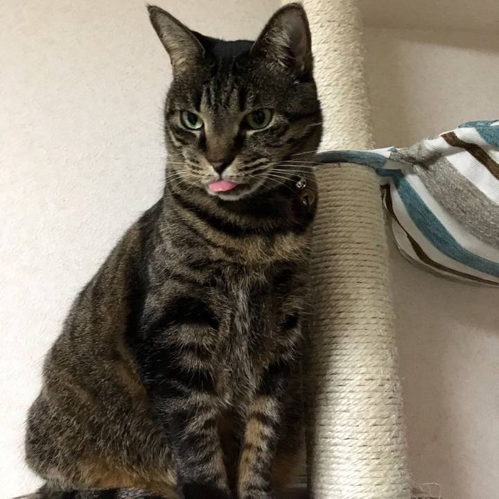 651c5186 4a38 44e7 bc89 40691d0c5271 1516184953651