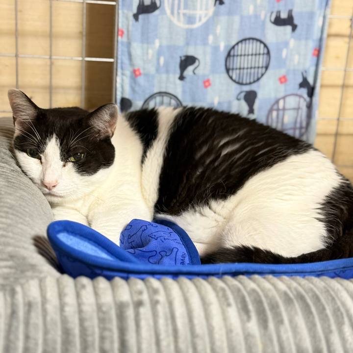 651c526f 9178 44dd 8567 f0806aa1da9b 1761872187108