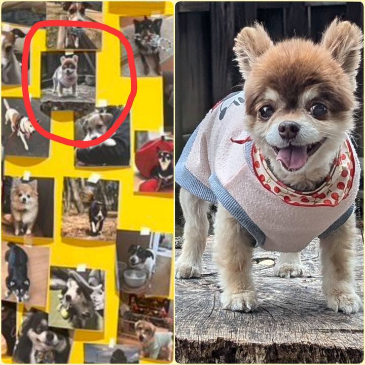 651c6143 89a6 4575 9991 43e86d2c220a 1774330444764