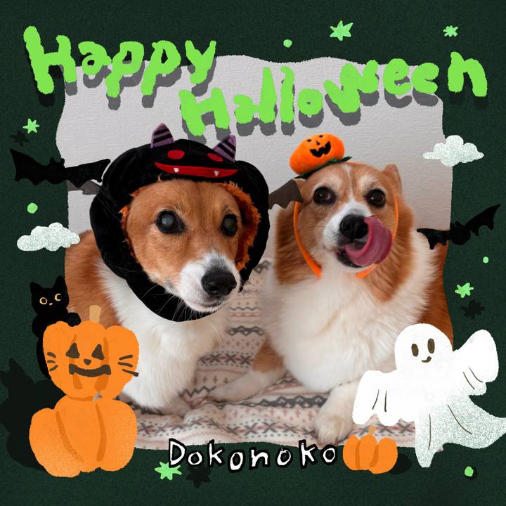 651c94da 6a55 4547 a878 77974ce716b4 1730341875380